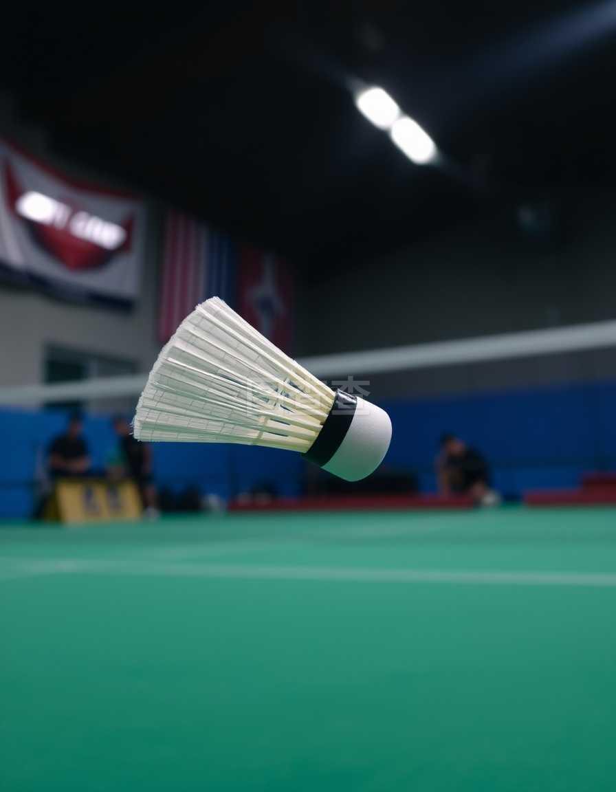 运项目在本 运项目在本