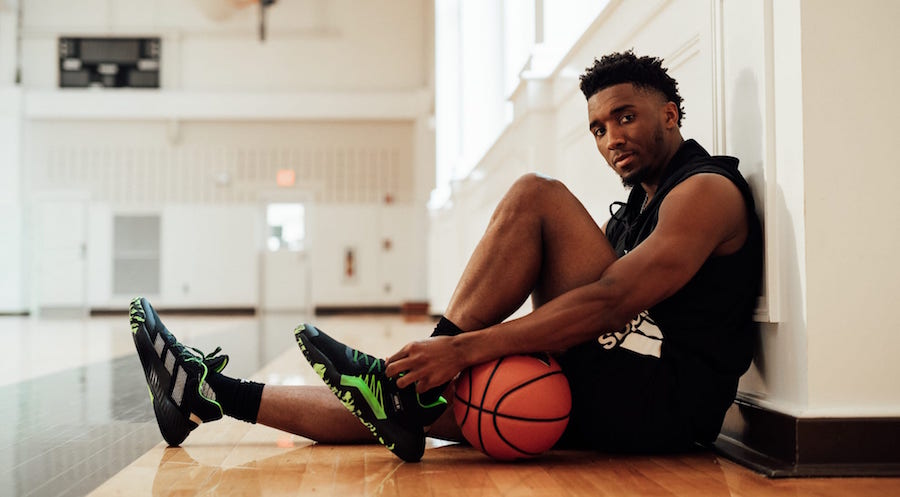 包括自律训 包括自律训